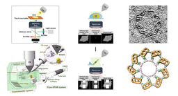 ELI trifocal microscope: a precise system to prepare target cryo-lamellae for in situ cryo-ET study
