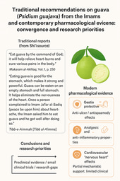 Traditional recommendations on guava (Psidium guajava) from the Imams and contemporary pharmacological evidence: convergence and research priorities