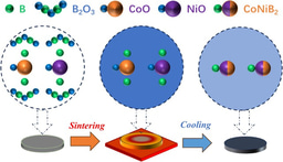 Ultra-Fast Synthesis of Non-Precious CoNiB₂ Catalysts for Water Oxidation