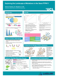 Exploring the Landscape of Mutations in the Gene PTPN11