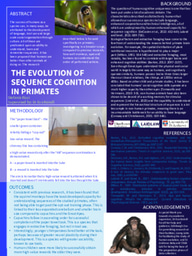 Research Poster: The Evolution of Sequence Cognition in Primates