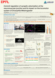 My Research Poster