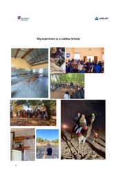 Laidlaw scholarship reflection