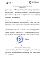 Reflections on my Summer 2023 Research Project