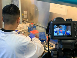 Videography, microglia, and animal rights