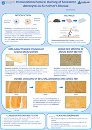 Summer 1 Research Poster