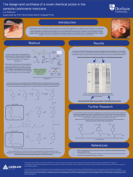 The design and synthesis of a novel chemical probe in the parasite Leishmania mexicana