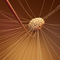 FEBS Junior Section present Marko Košiček