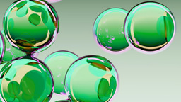 FEBS Junior Section present Milica Popović