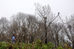 Sa ngalan ng Sierra Madre
