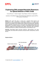 Research Report: Engineering DNA-wrapped Nanotube Biosensors for Optical Detection of Nitric Oxide