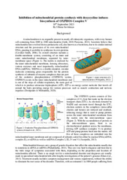 Inhibition of mitochondrial protein synthesis with doxycycline induces biosynthesis of OXPHOS Complex V