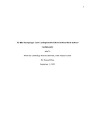 Ada Yu - Final Paper 2023