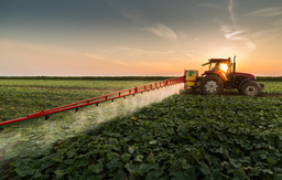 Beneath the mist: Pesticides harm beneficial soil organisms and key soil functions
