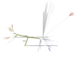 Two Omicron sublineages, one patient: the shortest case of reinfection so far