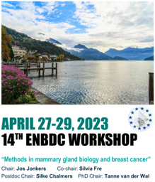Highlighting two posters from the 14th Workshop of the European Network of Breast Development and Cancer:  Methods in Mammary Gland Biology and Breast Cancer Research