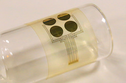 Facial ‘decoder’