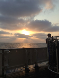 Lokiarchaeon with exceptionally high activity