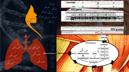 Origin of human breath isoprene unraveled – the tale behind our discovery