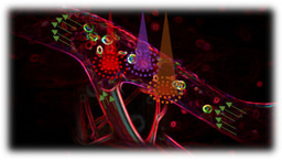 Photoacoustic vector tomography for deep haemodynamic imaging