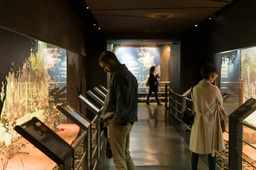 Día Internacional de los Museos