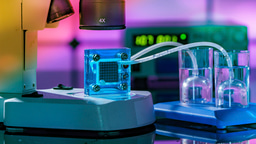 Your space to connect: The Fuel cell technologies Hub 