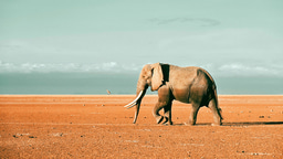 Are WELL Building Standard S02 Sound Levels Too Permissive of      Low Frequency Noise? Addressing the LFN in the Room