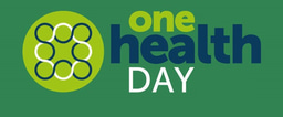 One Health Day One Year on: Mpox and H5N1 Avian Influenza