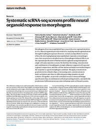 Systematic scRNA-seq screens profile neural organoid response to morphogens