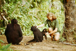 Change happens by listening and then starting a dialogue with the people who are doing something you don’t believe is right.