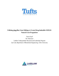 Research Report: Utilizing piggyBac Gene Editing to Create Drug-Inducible SOX10+ Neural Crest Progenitors