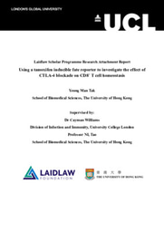 Research Report - Using a tamoxifen inducible fate reporter to investigate the effect of CTLA-4 blockade on CD8+ T cell homeostasis