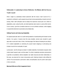 LiA Deliverable 3: LiA Reflection