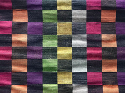 Objectivity in evolutionary sciences: can data speak for themselves?