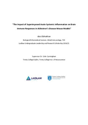 The Role of Systemic Inflammation on Neuroinflammation in Alzheimer's Disease. Summer 1 Research: Reflective Report. 