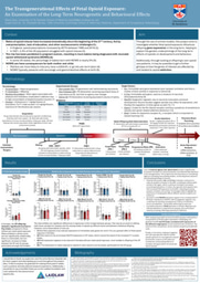 Research Poster - Understanding the Transgenerational Neurogenetic Effects of Maternal Opioid Use 