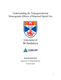 Research Essay - Understanding the Transgenerational Neurogenetic Effects of Maternal Opioid Use