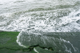 From Craft to Policy