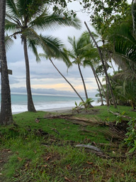 Pura Vida, Pure Lessons