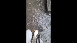 LIA Week 3: Raining in Manila