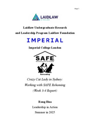 Crazy Cat Lady in Sydney: Working with SAFE Rehoming