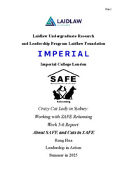 LiA: Crazy Cat Lady in Sydney: Working with SAFE Rehoming 