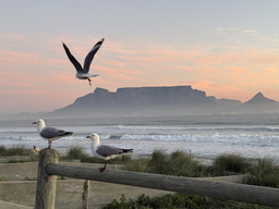 LiA - Running a Mental Health Programme for Teens at SOS Children's Village, Cape Town
