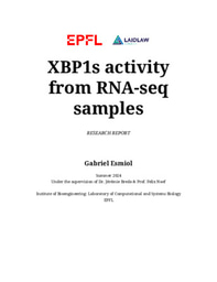 "XBP1s activity from RNA-seq samples" Research report
