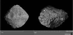 The evolution of organic material on Asteroid 162173 Ryugu and its delivery to Earth