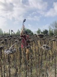 Front-runner: Developing material stewardship