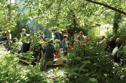 Front-runner: Supporting charities, community groups, social enterprises, action groups and others