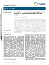 Lymphatics-on-a-chip microphysiological system- engineering lymphatic structure and function in vitro