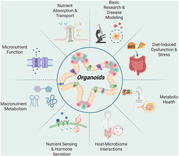 The Use of Organoid Cultures in Advancing Nutrition Research