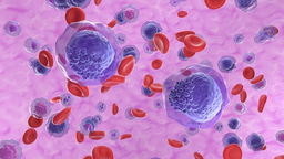 Call for papers: Myeloid cell function and dysfunction Collection